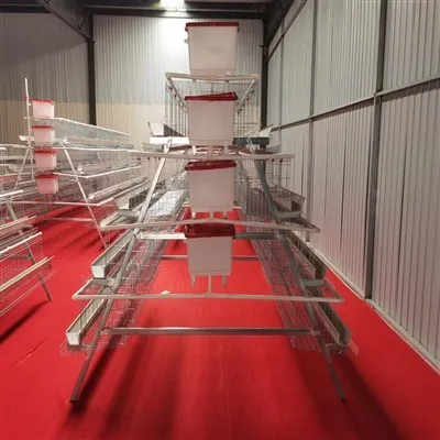 4 Levels 5 Door Chicken Layer Cage